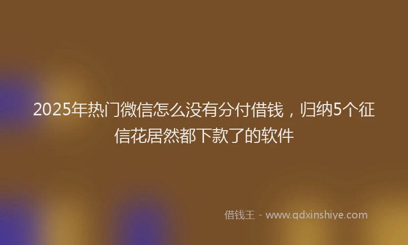 2025年热门微信怎么没有分付借钱，归纳5个征信花居然都下款了的软件
