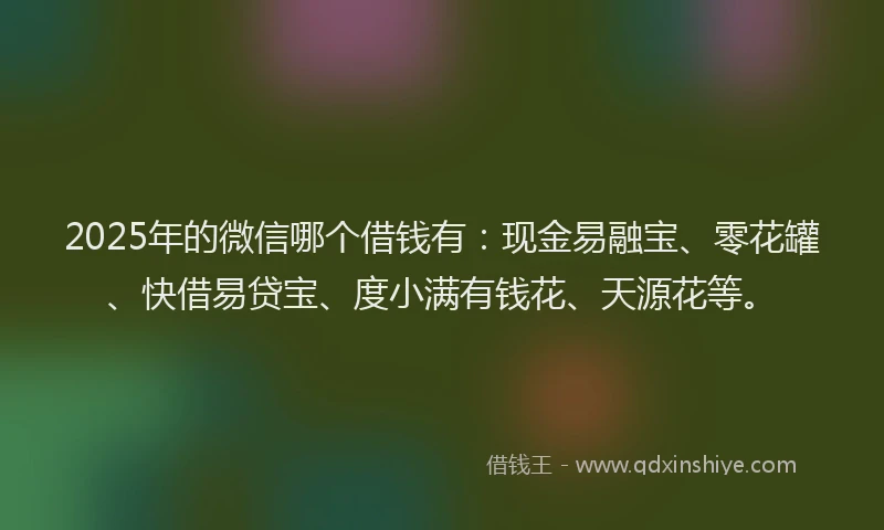 2025年的微信哪个借钱有：现金易融宝、零花罐、快借易贷宝、度小满有钱花、天源花等。