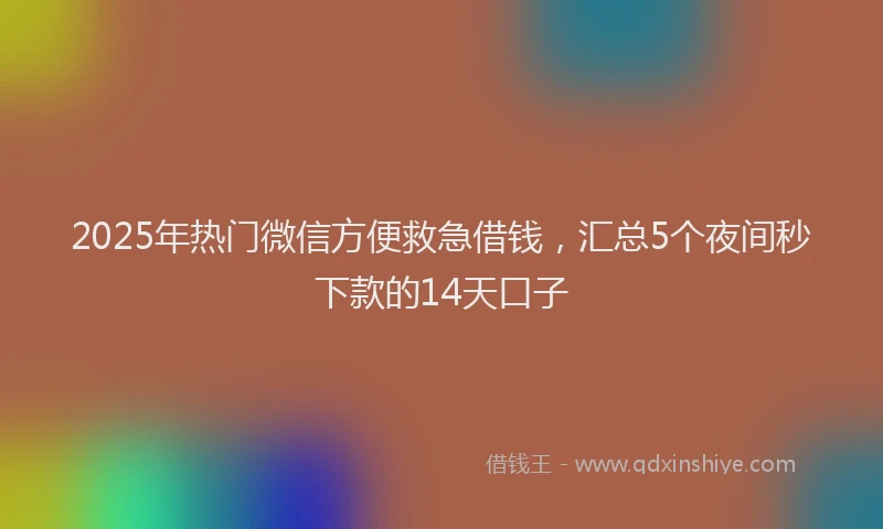 2025年热门微信方便救急借钱，汇总5个夜间秒下款的14天口子