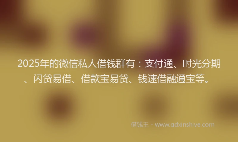 2025年的微信私人借钱群有：支付通、时光分期、闪贷易借、借款宝易贷、钱速借融通宝等。