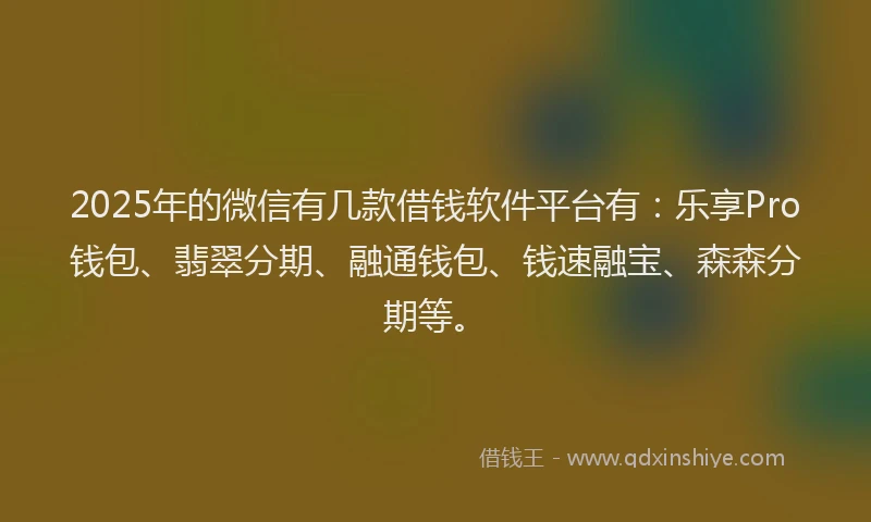 2025年的微信有几款借钱软件平台有：乐享Pro钱包、翡翠分期、融通钱包、钱速融宝、森森分期等。