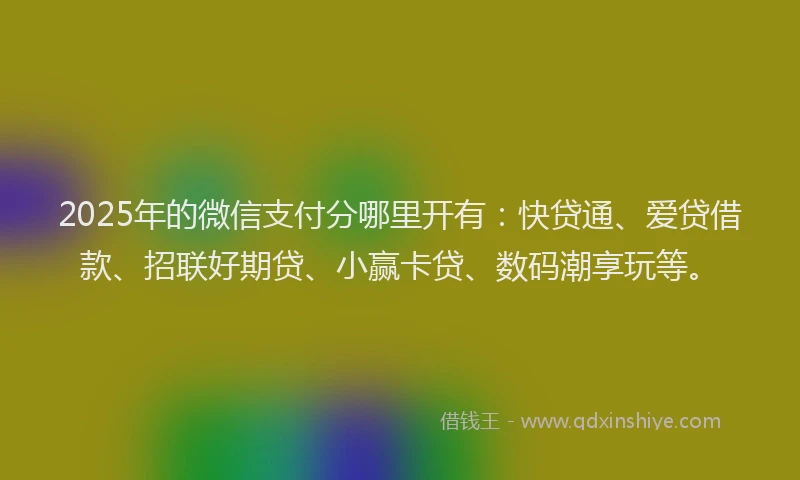 2025年的微信支付分哪里开有：快贷通、爱贷借款、招联好期贷、小赢卡贷、数码潮享玩等。