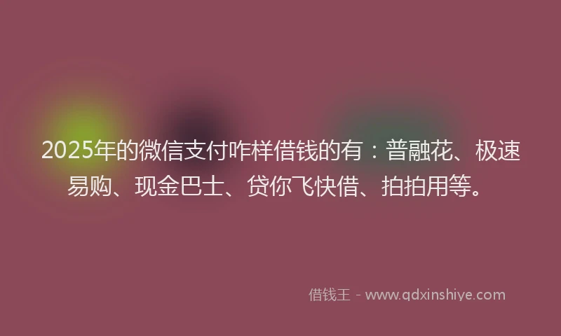 2025年的微信支付咋样借钱的有：普融花、极速易购、现金巴士、贷你飞快借、拍拍用等。