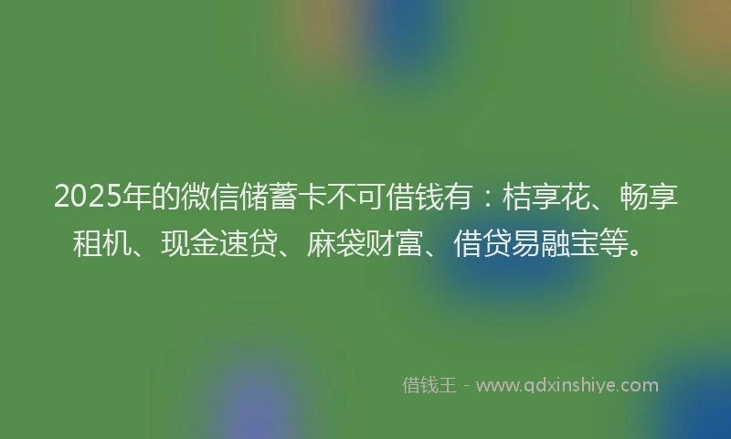 2025年的微信储蓄卡不可借钱有：桔享花、畅享租机、现金速贷、麻袋财富、借贷易融宝等。