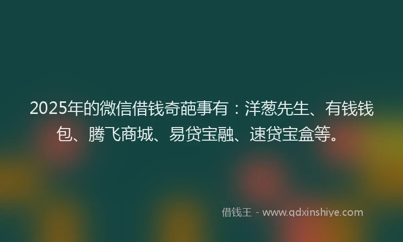 2025年的微信借钱奇葩事有：洋葱先生、有钱钱包、腾飞商城、易贷宝融、速贷宝盒等。