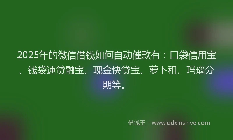 2025年的微信借钱如何自动催款有：口袋信用宝、钱袋速贷融宝、现金快贷宝、萝卜租、玛瑙分期等。