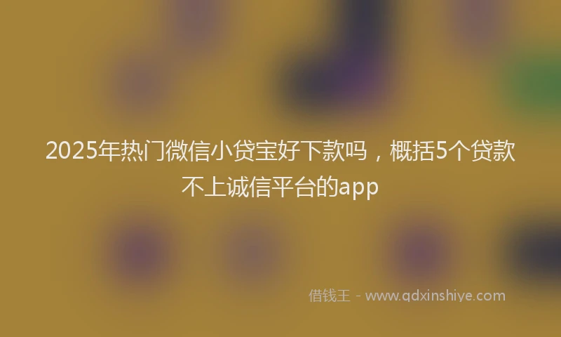 2025年热门微信小贷宝好下款吗，概括5个贷款不上诚信平台的app
