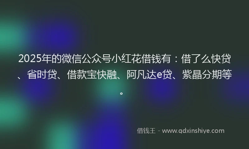 2025年的微信公众号小红花借钱有：借了么快贷、省时贷、借款宝快融、阿凡达e贷、紫晶分期等。