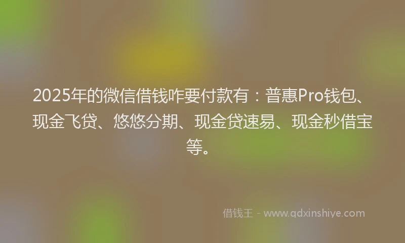 2025年的微信借钱咋要付款有：普惠Pro钱包、现金飞贷、悠悠分期、现金贷速易、现金秒借宝等。