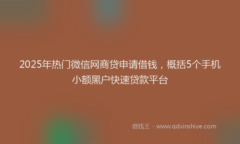 2025年热门微信网商贷申请借钱，概括5个手机小额黑户快速贷款平台