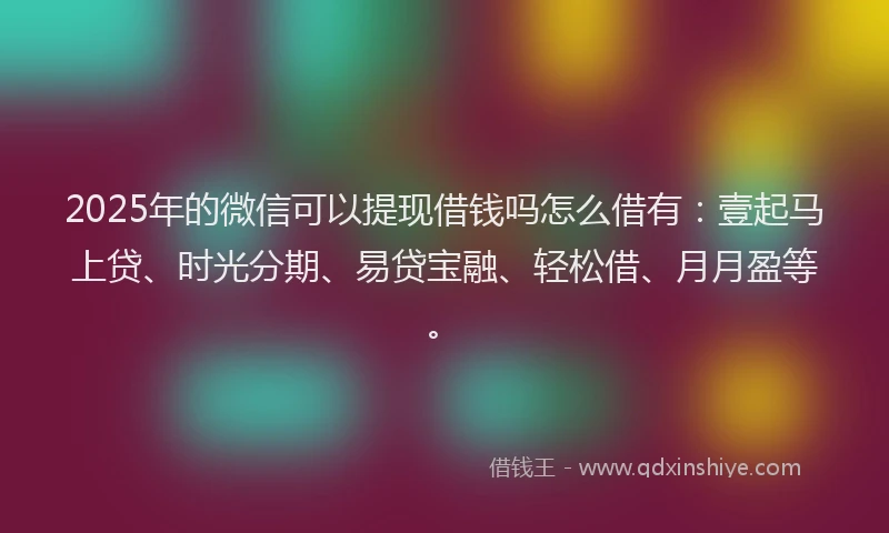 2025年的微信可以提现借钱吗怎么借有：壹起马上贷、时光分期、易贷宝融、轻松借、月月盈等。