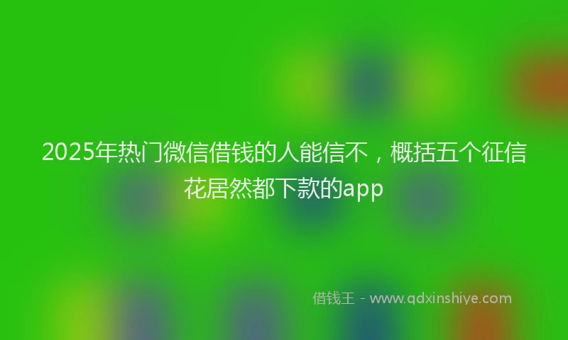 2025年热门微信借钱的人能信不，概括五个征信花居然都下款的app