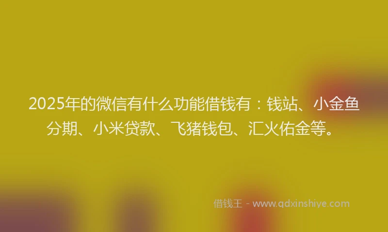 2025年的微信有什么功能借钱有：钱站、小金鱼分期、小米贷款、飞猪钱包、汇火佑金等。