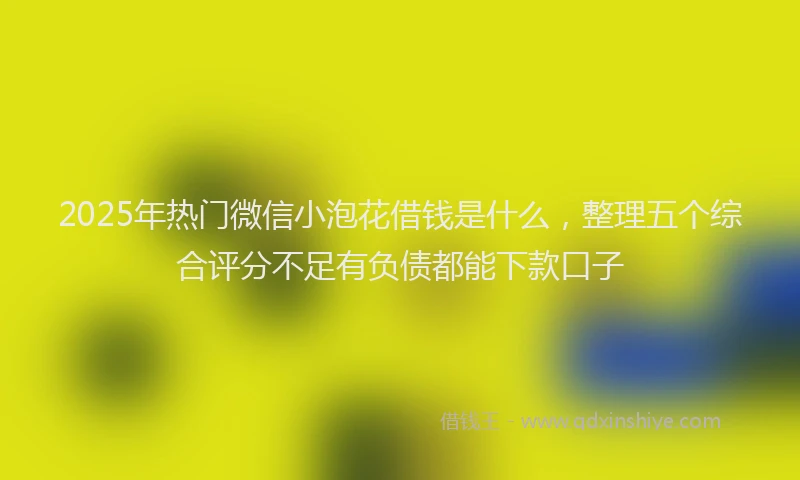 2025年热门微信小泡花借钱是什么，整理五个综合评分不足有负债都能下款口子
