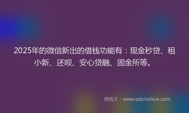 2025年的微信新出的借钱功能有：现金秒贷、租小新、还呗、安心贷融、固金所等。