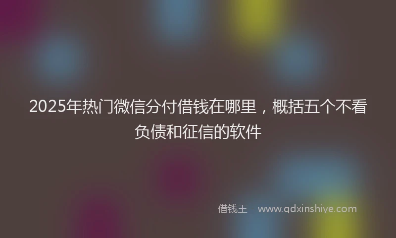 2025年热门微信分付借钱在哪里，概括五个不看负债和征信的软件