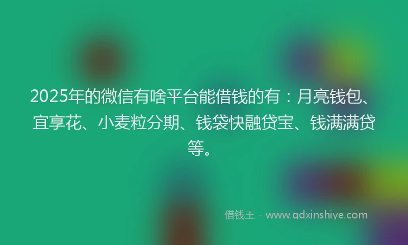 2025年的微信有啥平台能借钱的有：月亮钱包、宜享花、小麦粒分期、钱袋快融贷宝、钱满满贷等。