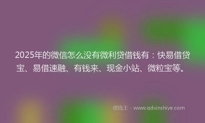 2025年的微信怎么没有微利贷借钱有：快易借贷宝、易借速融、有钱来、现金小站、微粒宝等。