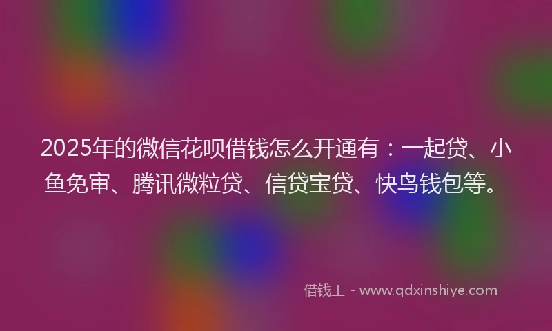 2025年的微信花呗借钱怎么开通有：一起贷、小鱼免审、腾讯微粒贷、信贷宝贷、快鸟钱包等。