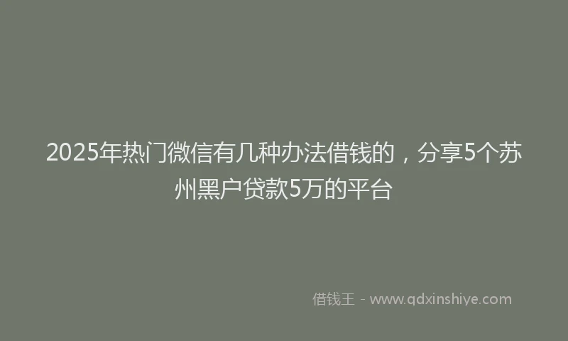 2025年热门微信有几种办法借钱的，分享5个苏州黑户贷款5万的平台