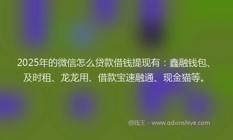 2025年的微信怎么贷款借钱提现有：鑫融钱包、及时租、龙龙用、借款宝速融通、现金猫等。