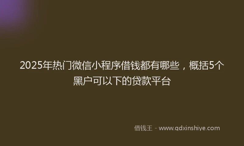 2025年热门微信小程序借钱都有哪些，概括5个黑户可以下的贷款平台