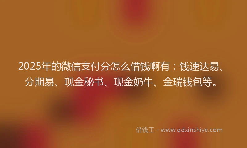 2025年的微信支付分怎么借钱啊有：钱速达易、分期易、现金秘书、现金奶牛、金瑞钱包等。