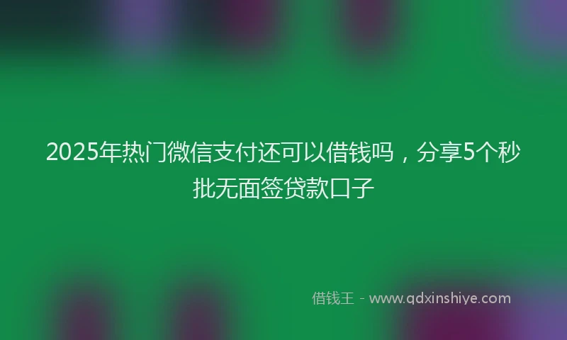 2025年热门微信支付还可以借钱吗，分享5个秒批无面签贷款口子