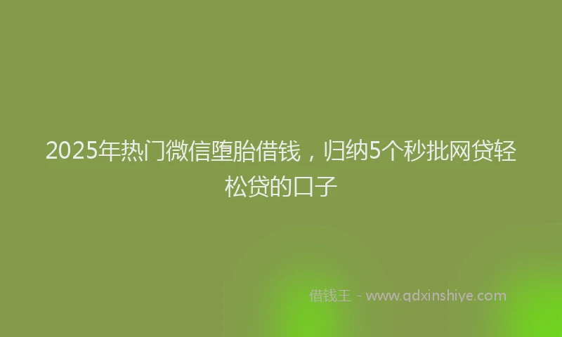 2025年热门微信堕胎借钱，归纳5个秒批网贷轻松贷的口子