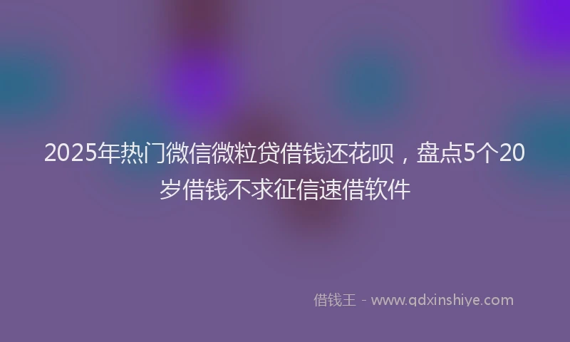 2025年热门微信微粒贷借钱还花呗，盘点5个20岁借钱不求征信速借软件