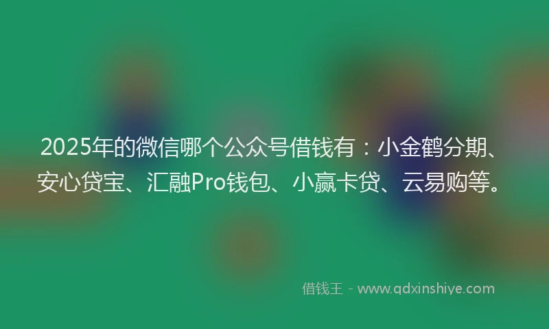 2025年的微信哪个公众号借钱有：小金鹤分期、安心贷宝、汇融Pro钱包、小赢卡贷、云易购等。