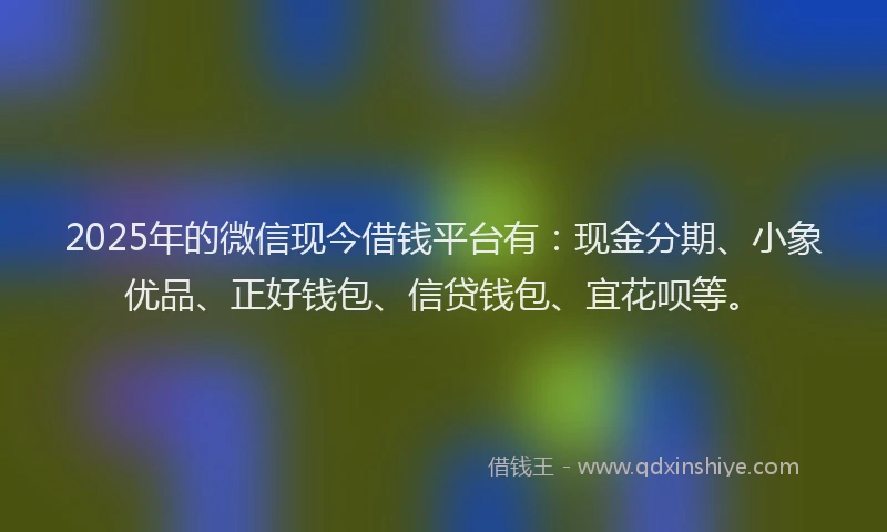 2025年的微信现今借钱平台有：现金分期、小象优品、正好钱包、信贷钱包、宜花呗等。
