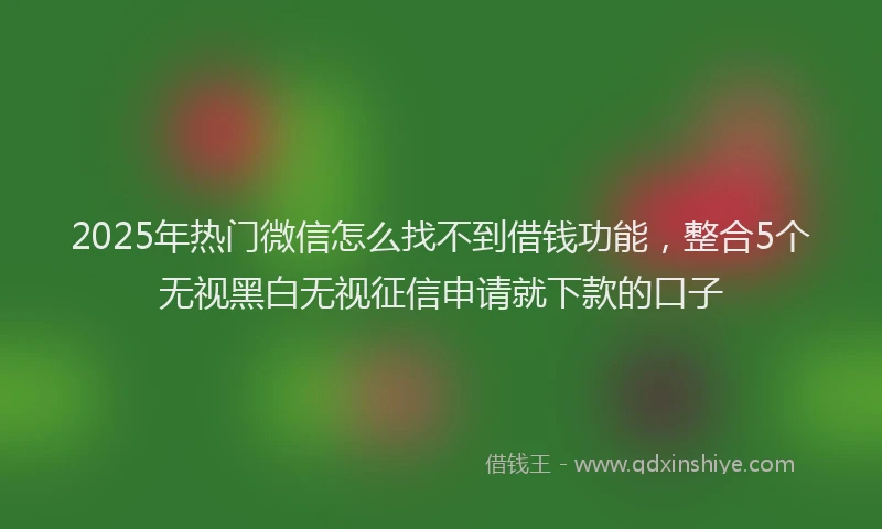 2025年热门微信怎么找不到借钱功能，整合5个无视黑白无视征信申请就下款的口子