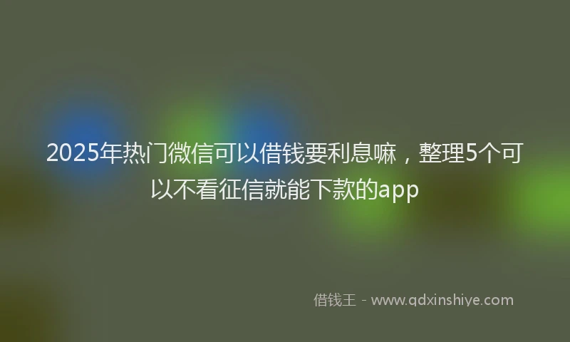 2025年热门微信可以借钱要利息嘛，整理5个可以不看征信就能下款的app