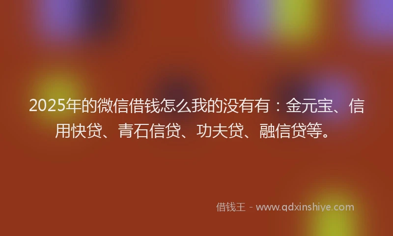 2025年的微信借钱怎么我的没有有：金元宝、信用快贷、青石信贷、功夫贷、融信贷等。