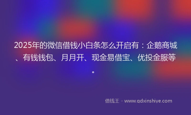 2025年的微信借钱小白条怎么开启有：企鹅商城、有钱钱包、月月开、现金易借宝、优投金服等。