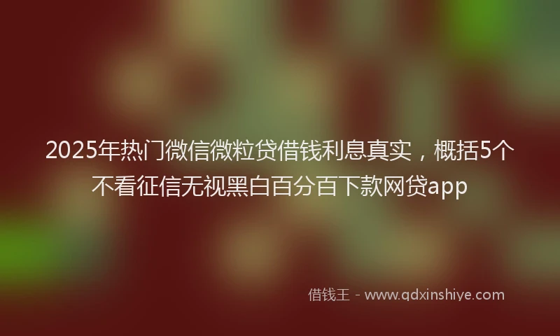 2025年热门微信微粒贷借钱利息真实，概括5个不看征信无视黑白百分百下款网贷app