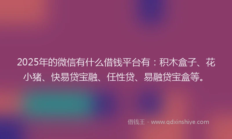 2025年的微信有什么借钱平台有：积木盒子、花小猪、快易贷宝融、任性贷、易融贷宝盒等。