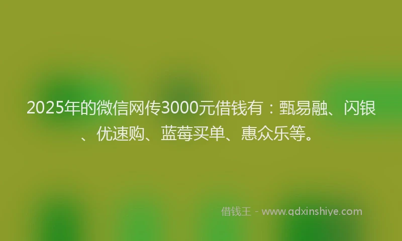 2025年的微信网传3000元借钱有：甄易融、闪银、优速购、蓝莓买单、惠众乐等。