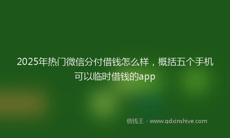 2025年热门微信分付借钱怎么样，概括五个手机可以临时借钱的app