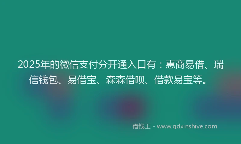 2025年的微信支付分开通入口有：惠商易借、瑞信钱包、易借宝、森森借呗、借款易宝等。