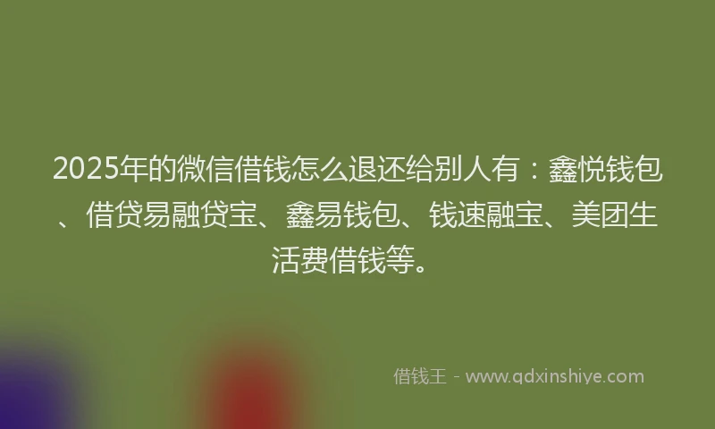 2025年的微信借钱怎么退还给别人有：鑫悦钱包、借贷易融贷宝、鑫易钱包、钱速融宝、美团生活费借钱等。