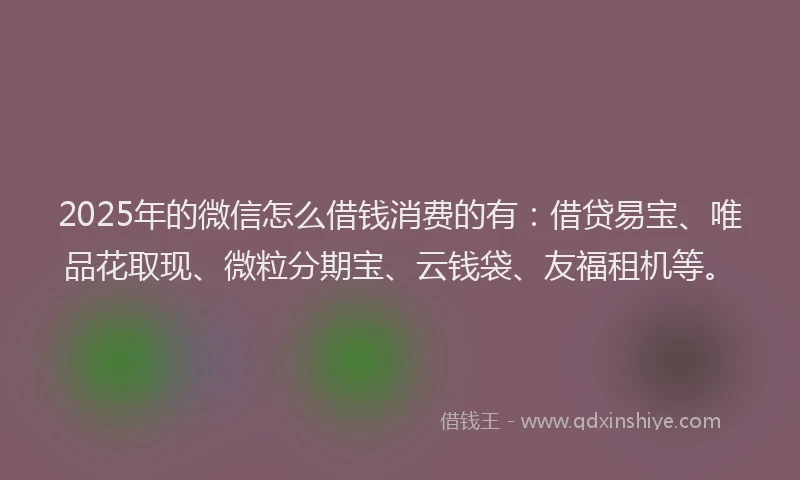2025年的微信怎么借钱消费的有：借贷易宝、唯品花取现、微粒分期宝、云钱袋、友福租机等。