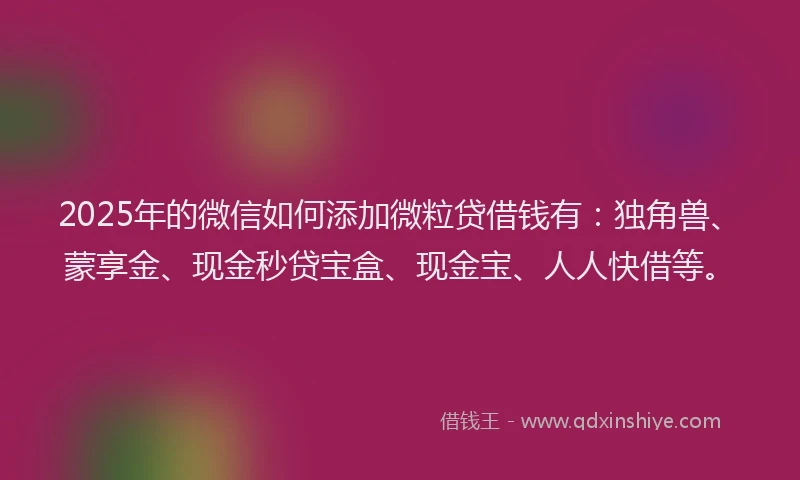 2025年的微信如何添加微粒贷借钱有：独角兽、蒙享金、现金秒贷宝盒、现金宝、人人快借等。