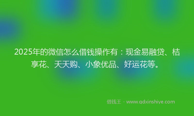 2025年的微信怎么借钱操作有：现金易融贷、桔享花、天天购、小象优品、好运花等。
