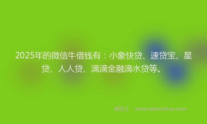 2025年的微信牛借钱有：小象快贷、速贷宝、星贷、人人贷、滴滴金融滴水贷等。