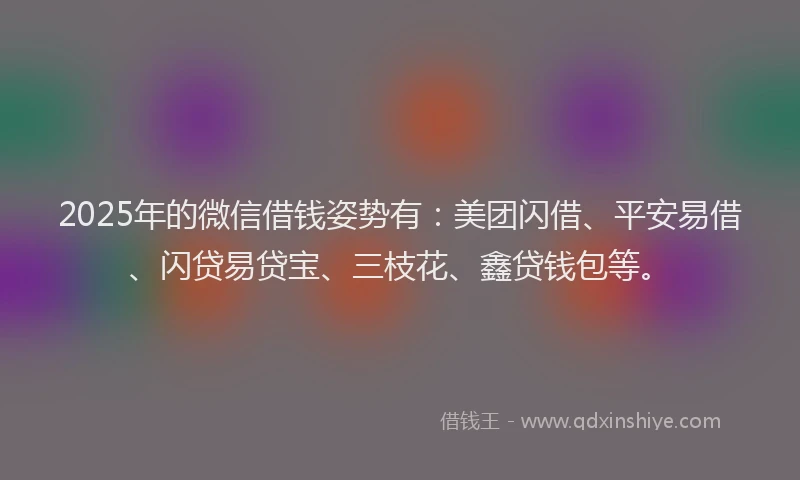 2025年的微信借钱姿势有：美团闪借、平安易借、闪贷易贷宝、三枝花、鑫贷钱包等。
