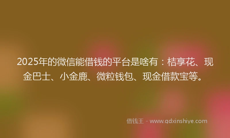 2025年的微信能借钱的平台是啥有：桔享花、现金巴士、小金鹿、微粒钱包、现金借款宝等。