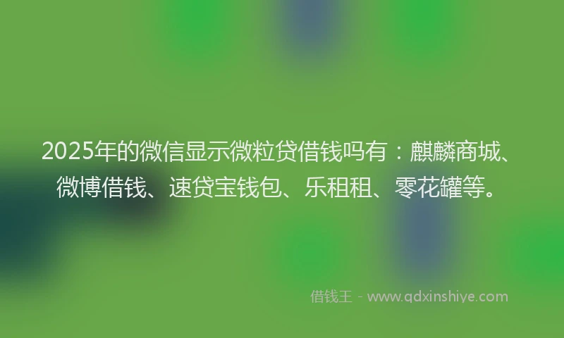 2025年的微信显示微粒贷借钱吗有：麒麟商城、微博借钱、速贷宝钱包、乐租租、零花罐等。