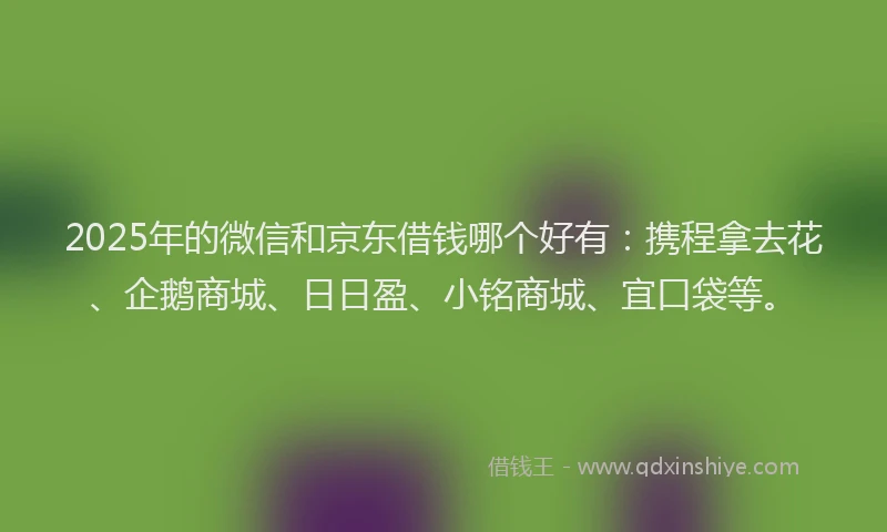 2025年的微信和京东借钱哪个好有：携程拿去花、企鹅商城、日日盈、小铭商城、宜口袋等。